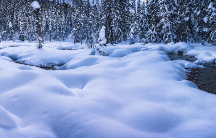 Landscape Photography near Emerald Lake. A frozen creek winds around snow pillows