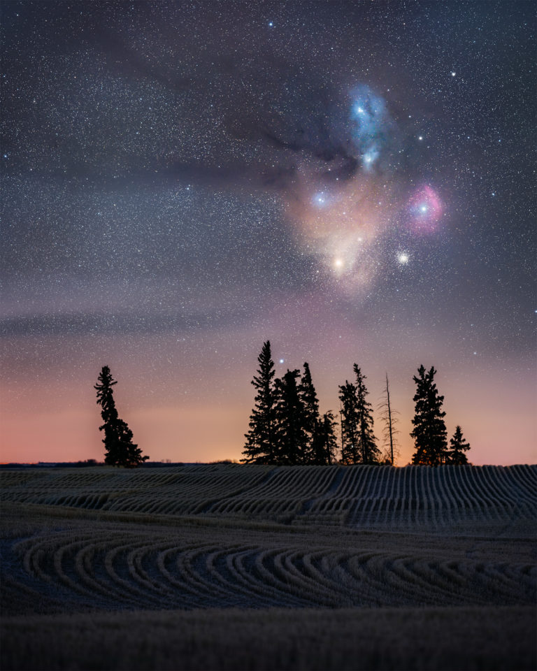 A deepscape astrophoto in Saskatchewan. The Rho Ophiuchi Complex rises above a group of trees