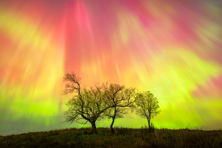 A night photograph of a geomagnetic storm over three trees in Saskatchewan. Aurora Borealis in vibrant red and greens