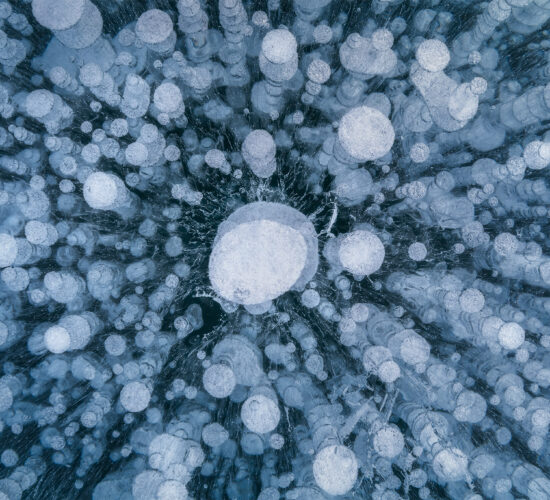 An intimate landscape photograph of the ice bubbles on Abraham Lake